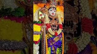 ✍️⚜️🙏 சுனாமி அஞ்சி போகும் திருச்செந்தூர் முருகன் ஸ்தலம்