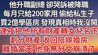 【完結】他升職副總 卻哭訴被降職，每月只給200家用 偷給私生子，買2億學區房 發現真相時我沒鬧，連夜把他所有財產轉女兒名下，劃分財產 收回陪嫁婚房，離婚當天 他身無分文崩潰了#婚姻 #家庭 #爽文