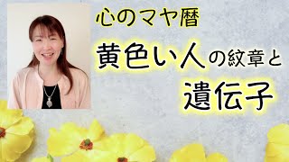 心のマヤ暦「黄色い人の紋章と遺伝子」村上和雄×葉祥明、絵本「世界は１つの生命からはじまった」細胞の遺伝子暗号とツォルキン暦。マヤ暦スーパーアドバイザー、健康運動指導士の鈴木早代子がお送りします。