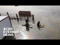 Farmers devastated by historic flooding in Midwest