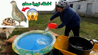 اخطاء تربية سمان في المزرعة