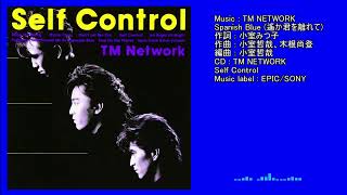 TM NETWORK - Spanish Blue (遙か君を離れて)(EPIC/SONY)