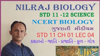 STD 11 BIOLOGY CH 01#LEC 04# કક્ષાઓ : જાતિ પ્રજાતિ કૂળ ગોત્ર#NILRAJ BIOLOGY#