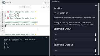 Interactive Coding Exercise Variables (013)