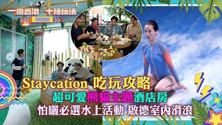 一個香港十種玩法過節篇｜聖誕Staycation 吃玩攻略 超可愛熊貓主題酒店房 怕曬必選水上活動 啟德室內滑浪｜留港消費 打卡 攻略｜江美儀｜TVB綜藝