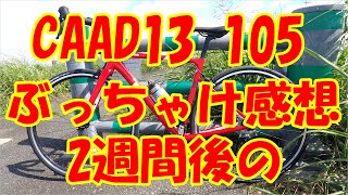 CAAD13 105の納車2週間後のぶっちゃけ感想/キャノンデール/