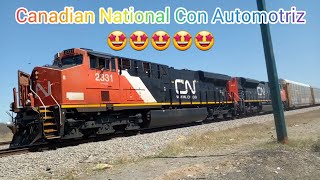 Tren Automotriz Canadian National 🤩🤩🤩🤩🤩