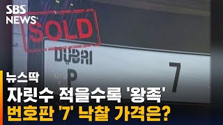 자릿수 적을수록 '왕족'…번호판 '7' 낙찰 가격은? / SBS / 뉴스딱