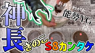 【オオクワガタ】能勢YG血統の幼虫を譲って頂きました!!