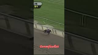 【競馬】変な馬名でドレミ??  #競馬 #動物#ドレミの歌