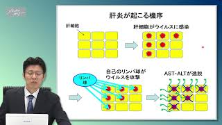 【看護セミナー】ナースが知っておきたい 肝臓の解剖・疾患・治療の知識