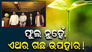 ଫୁଲ ତୋଡା ବଦଳରେ ଚାରାଗଛ ଉପହାର ଦିଅନ୍ତୁ: ମନ୍ତ୍ରୀ|| Tree|| Gift||