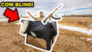 HUNTING My Farm while DISGUISED as a COW!!! (Will It Work?)