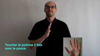 Avoir en langue des signes française