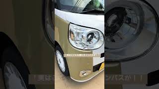 試乗車 新型キャンバス 隠れキャンバス何個ある？？ちょっとだけご紹介　#shorts