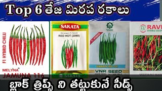 Top teja mirchi seeds in 2023 || టాప్ మిరప విత్తనాలు 2023 | top chilli seeds in telangana