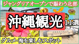 Yanbaru sightseeing spots you should know about before Junglia opens