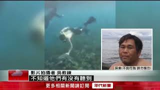 摸一次30萬！ 小琉球4潛水客「違法摸海龜」 教練拍下檢舉