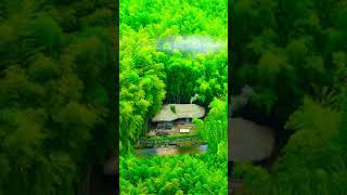 Sonido de la Naturaleza: #rio #agua #cascada #lluvia #bosque #naturaleza #paisaje #pajaros