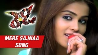 Ready Telugu Movie | Mere Sajnaa Song | Ram | Genelia | Srinu Vytla | Devi Sri Prasad