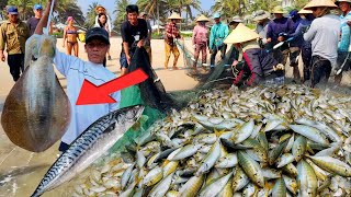 Nghe Tin Cá Thu Ảo Áp Bờ Bà Con Đổ Xô Xuống Biển Kéo Lưới || Tại Bãi Tắm Bắc Mỹ An