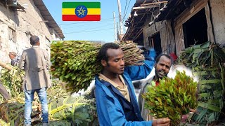 Chat Tera , 🇪🇹 Addis Ababa walking Tour 2024 , Ethiopia