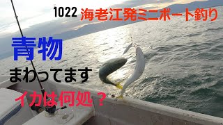 青物に助けられた気分　海老江発ミニボート釣り