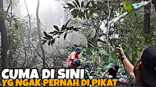 MASIH ENAK MIKAT BURUNG DI SINI TEMPAT TERSEMBUNYI BARU DI PASANG LANGSUNG POIN