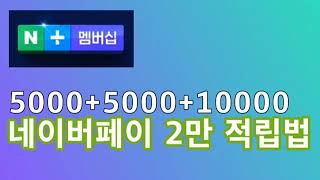 네이버페이로 2만원 적립 하는 법