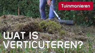 Wat is verticuteren? | Gazon | Tuinmanieren