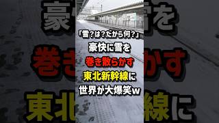 「雪？は？だから何？」豪快に雪を撒き散らかす\