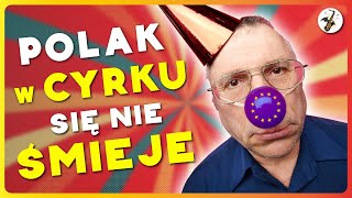 🦇NUTOPERZE🦇 - Polski cyrk z kartonu #discopolo #parodia