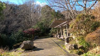 ( 動画配信 ) 2024-10-12 横浜市 金沢区 金沢自然公園の風景 (2023-01-04 撮影)  #Live