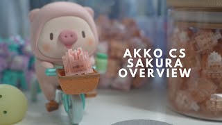 Akko CS Sakura Linear Switch Overview and Unboxing