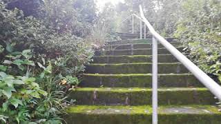 龍郷町　戸口　平行盛神社　目線カメラ