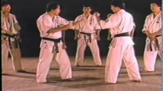 World Oyama Karate