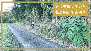 【山林草刈り】夏放置していた農道側法面の雑草が伸びていたのでお手入れ