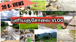 புளியஞ்சோலை|திருச்சி புளியஞ்சோலை falls|Puliyancholai|Trip to Puliyancholai falls|