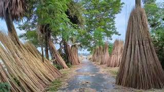 গ্রামের অপরুপ সৌন্দর্য | গ্রাম ছাড়া ঐ রাঙামাটির পথ | Gram Chara Oi Rangamatir Poth