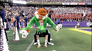 Aubie the Tiger UCA Entry Video 2024