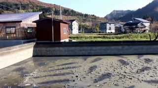 Mud Pond \u0026 Koi Houses In Yamakoshi Niigata