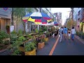 4k japan ⛩️ japanese hydrangea festival🎏 at night