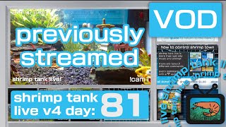 Shrimp Tank Live VOD Day 81