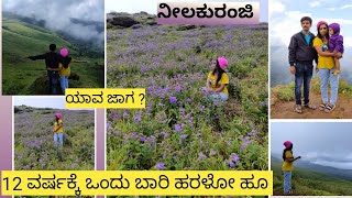 ಯಾವ ಜಾಗ ಇದು ? 12 ವರ್ಷಕ್ಕೆ ಒಂದು ಸಲಿ ಅರಳೊ ಹೂ ನೀವು ಮಿಸ್ ಮಾಡ್ಕೊಳ್ದೆ ನೋಡ್ಬೇಕಾಗಿರುವಂತ ವಿಡಿಯೋ 😱