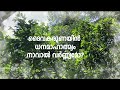 karaoke daivakarunayin dhanama jimmy kulangara sabu thomas malayalam christian song