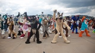 Fursuiting Fun at Anthrocon 2013 - A Kijani Compilation