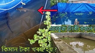 চিমেণ্ট টেংকীত মাছ পালন/কিমান টকা খৰচ হয় ? কেনেকৈ বনাব ? লাভ ? Fish farming  tank making process