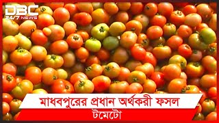 রাজশাহীর ৪ টাকা কেজির টমেটো দিনাজপুরে ২০ টাকায় বিক্রি