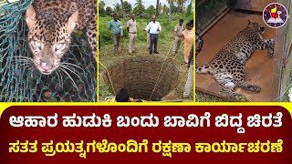 ಆಹಾರ ಹುಡುಕಿ ಬಂದು ಬಾವಿಗೆ ಬಿದ್ದ ಚಿರತೆ | ಸತತ ಪ್ರಯತ್ನಗಳೊಂದಿಗೆ ರಕ್ಷಣಾ ಕಾರ್ಯಾಚರಣೆ