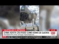 militares da china exibem cão robô como arma de guerra live cnn